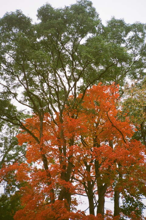 11A