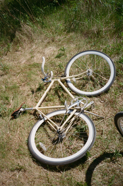 3 1
